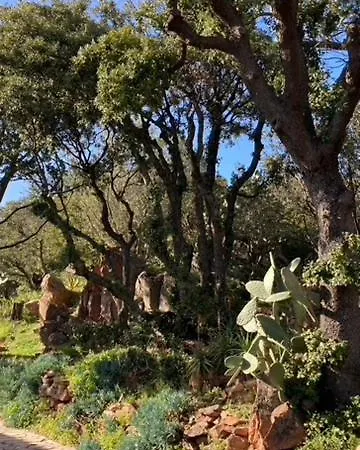 Pensjonat L'arbousiere Porto-Vecchio (Corsica)
