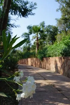 L'arbousiere Porto-Vecchio