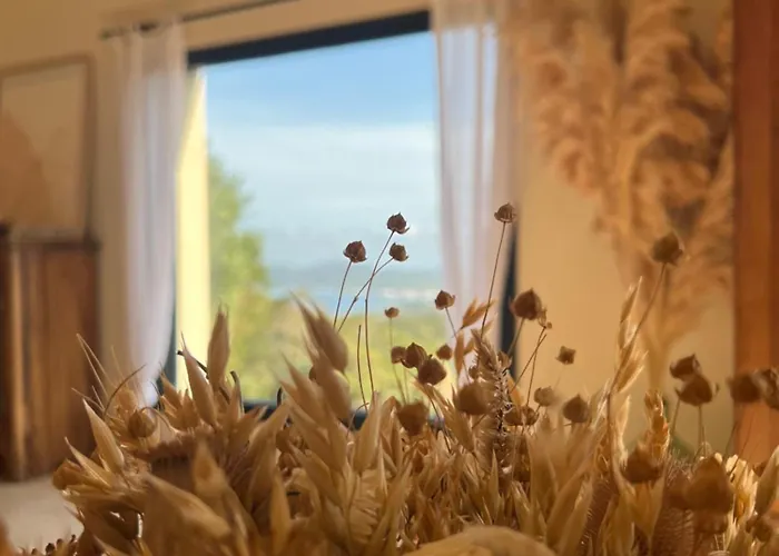 Gæstehus L'arbousiere 4*